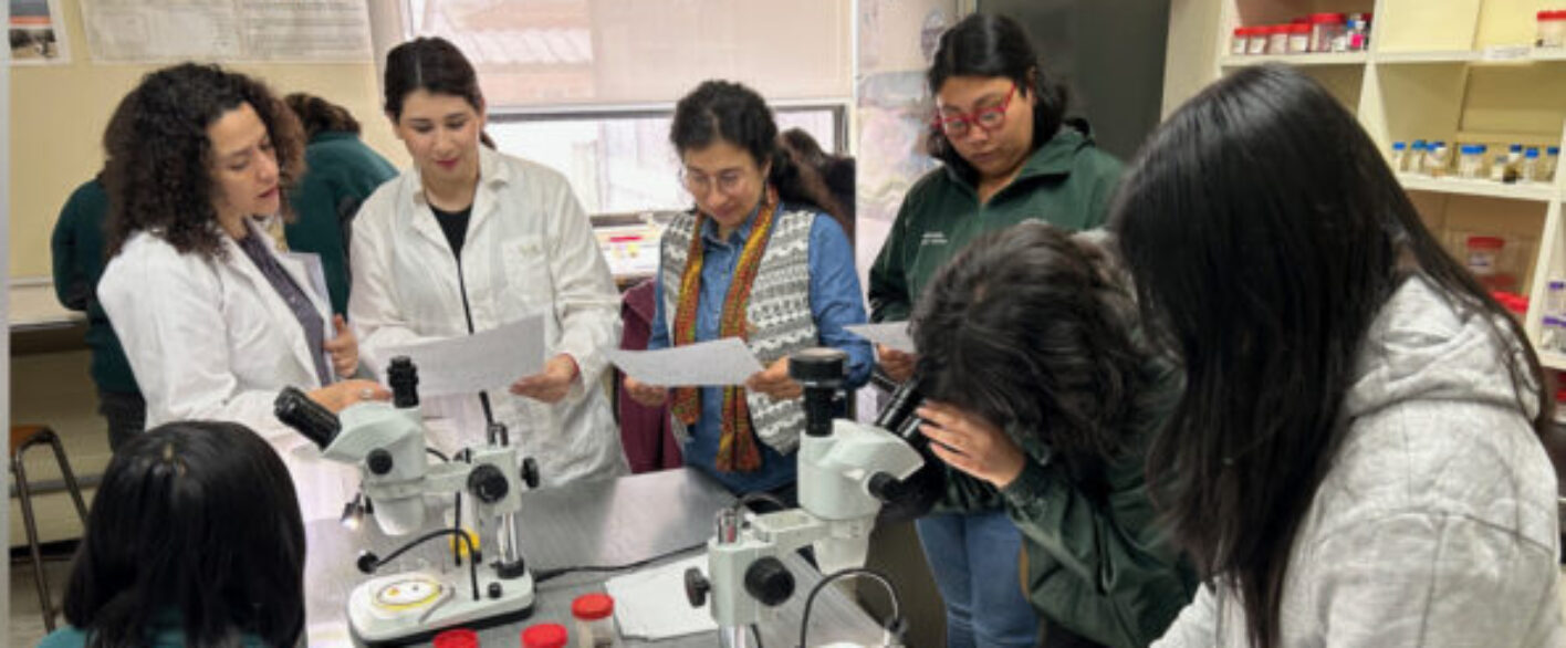 Estudiantes viven la ciencia en Laboratorio de Limnología ULagos